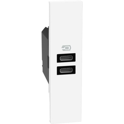Розетка зарядное устройство USB 2 разъёма тип - C/C 15 Вт/3000мА 1 модуль. Цвет Белый. Bticino серия Living Now. K4191CC+KW13C