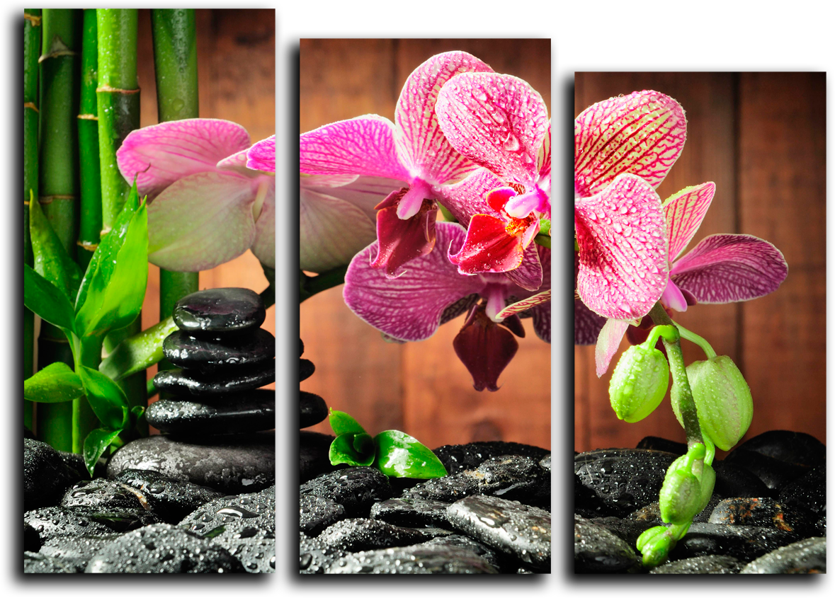Модульные картины Орхидея