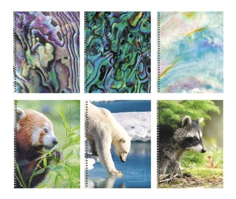 Тетрадь А5 96л кл. гребень в ассорти