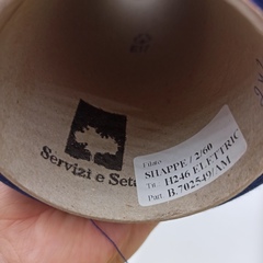 Shappe Servizi e Seta 100% шелк 3000м/100гр H246 Electric