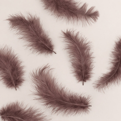 Перья Ретро Какао, 12*15 см, 30 шт.