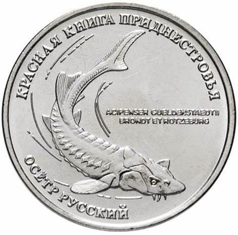 1 рубль 2018 г. Осетр Русский. Серия: Красная книга "ФАУНА" Приднестровье. ПМР. UNC