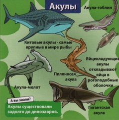 Игра настольная BrainBox Cундучок знаний Природа 90703