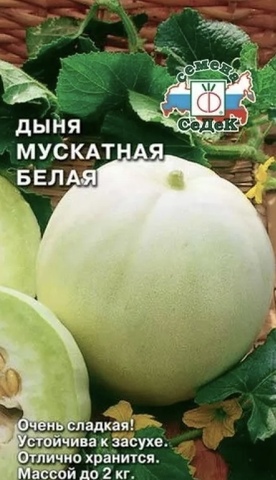 Семена дыня Мускатная белая, масса 2 кг, цв 0,5 гр