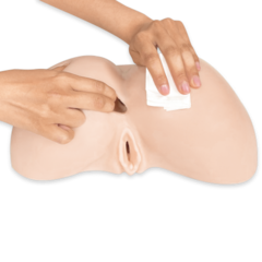 Реалистичный мастурбатор в виде попы Daphne от SILEXD