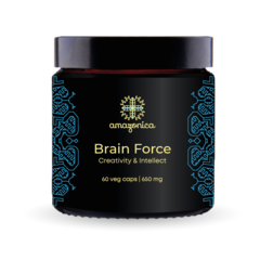 Brain Force креатив и интеллект (ноотроп), 60 капсул