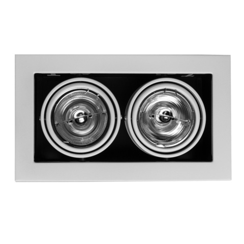 Светильник встраиваемый поворотный Arte Lamp Cardani medio A5930PL-2WH