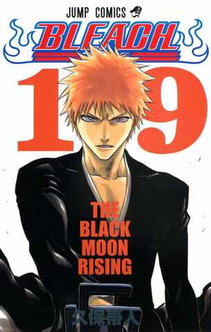 Bleach Vol. 19 (На Японском языке)