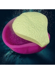 Молд пластиковый+вайнер силиконовый НП-8 лепесток пиона 8,5х7см