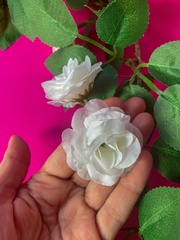 Лиана с Розами, 21 голова на лиане, Белые розы, длина одной лианы 1,75 м, набор 1 шт.