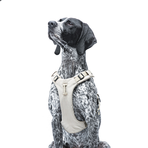 Шлейка United Pets для собак Citylife Y-образная XS 15 x 38-48, бежевый