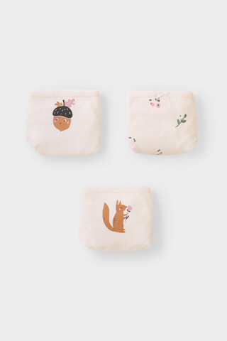 набор трусы/ уп  для девочки  К 1909-3уп/сливки,ягодная полянка Ал