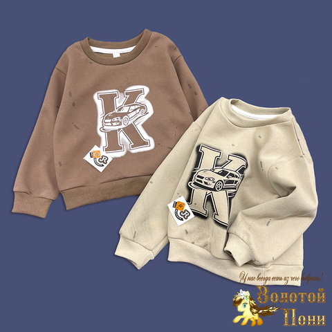 Свитшот трикотаж м (1-5) 260221-S7004