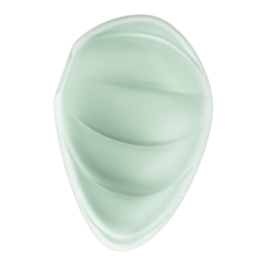 Стимулятор клитора с вибрацией и воздушной стимуляцией Satisfyer Cloud Dancer