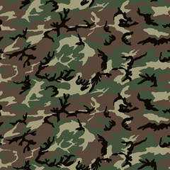 Набор скрапбумаги Military style 30,5x30,5 см 10 листов