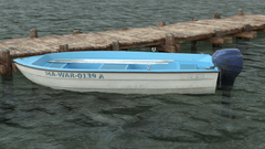 Professional Fishing: Sakura Ryokan Spinning (для ПК, цифровой код доступа)