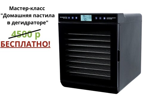 Дегидратор (сушилка) RawMID Modern RMD-10 черный