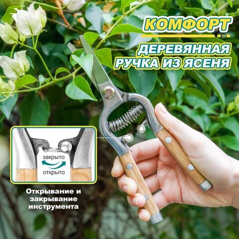 Секатор для обрезки с прямыми лезвиями и деревянной ручкой Berry&Bird