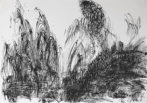 Абсолютное поле