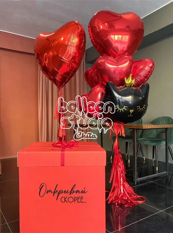 ШАРЫ К 14 ФЕВРАЛЯ №1