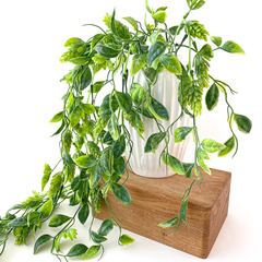 Ампельное растение - искусственная зелень хмель свисающий, 90 см.
