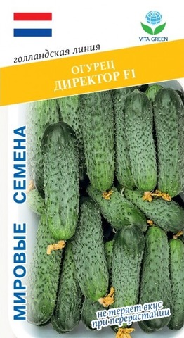 Семена Огурец Директор F1