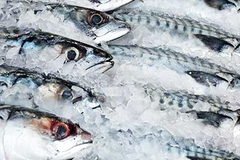 Холодильная, морозильная камера для рыбы