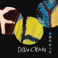 Dixie Chicks / Fly (2LP)
