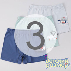 3 (5-6 лет)