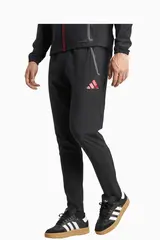 Штаны adidas Liverpool FC 25/26 Competition Vis Tech Travel - черный