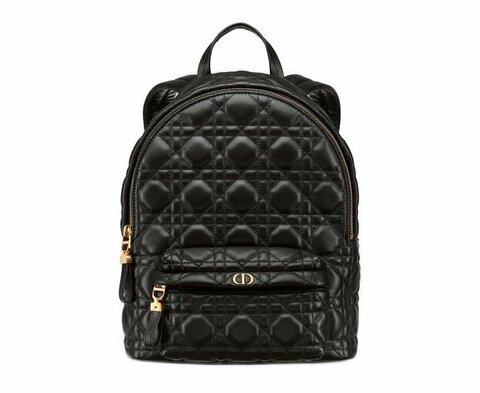 Рюкзак Dior, модель маленького формата