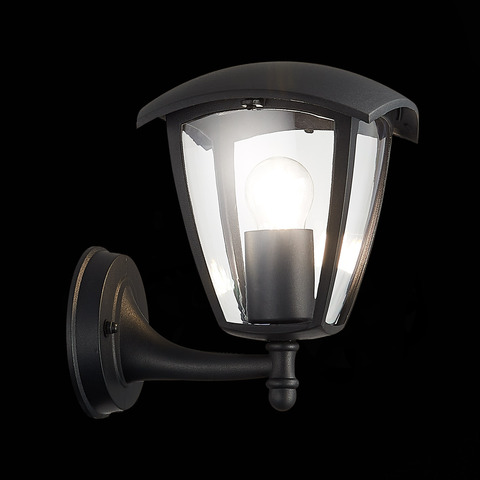 Светильник уличный ST Luce Sivino SL081.401.01