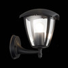Светильник уличный ST Luce Sivino SL081.401.01