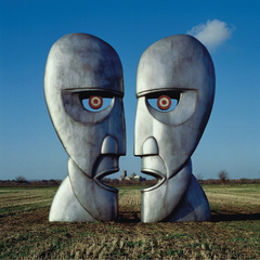Pink Floyd / The Division Bell (2LP)