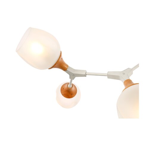 Люстра потолочная Evoluce Ciotolla SLE113502-05