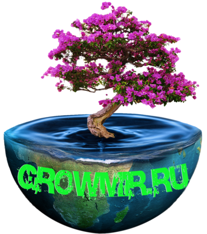 Гроубокс Growbox 200x150x80