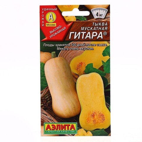 Тыква Гитара