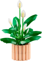 Конструктор LEGO Botanical Collection 11504 Peace Lily