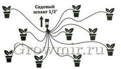 Система группового капельного полива