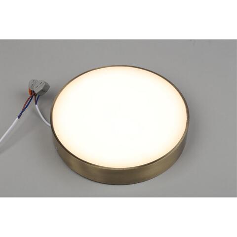 Потолочный светодиодный светильник Aployt Evon APL.0113.29.24