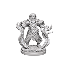 Human Male Druid / Люди-друиды