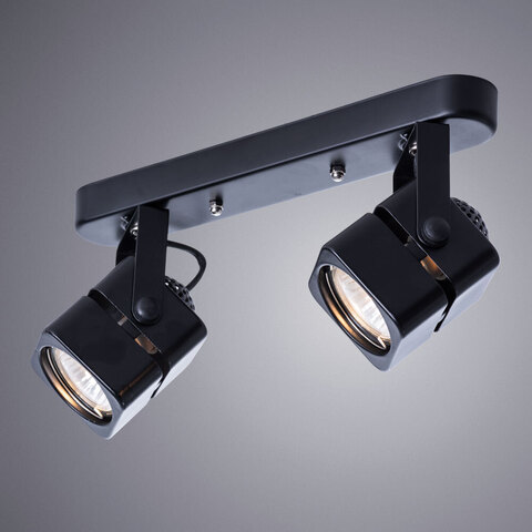 Светильник Arte Lamp Misam A1315PL-2BK