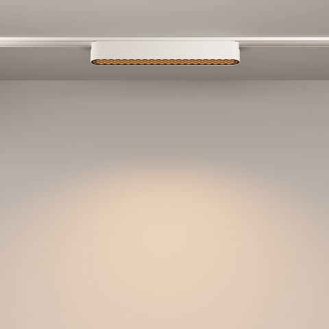 Магнитный трековый светильник Maytoni Basis Grid TR084-1-12W3K-W