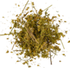 Тысячелистник (трава))