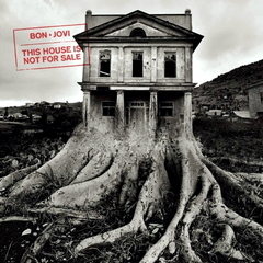 Bon Jovi / This House Is Not For Sale (LP)