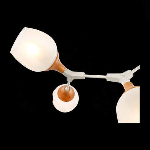 Люстра потолочная Evoluce Ciotolla SLE113502-05