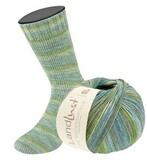 Пряжа Lana Grossa Landlust die Sockenwolle IV 807