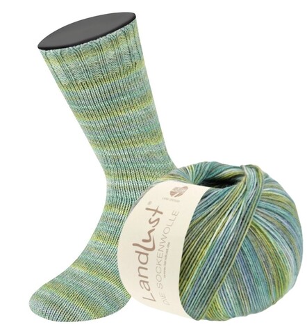 Пряжа Lana Grossa Landlust die Sockenwolle IV 807