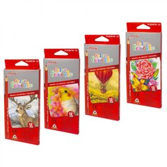 
          Карандаши цветные Yalong 12 цв., "Illustration" деревянные, трехгранные, заточенные, грифель 2.8 мм, картон. уп., европод.