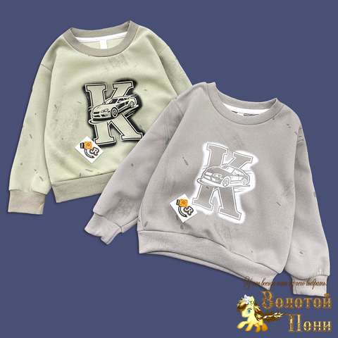 Свитшот трикотаж м (1-5) 260221-S7005